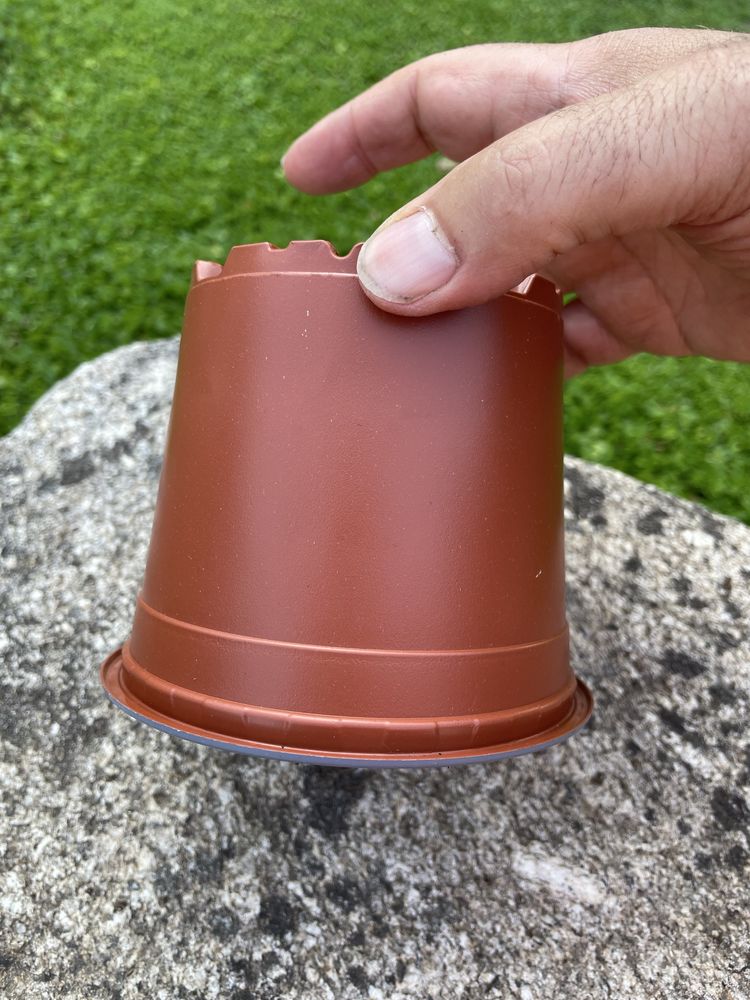 Conjunto de 50 vasos de plástico 12 cm.