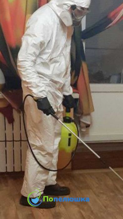 ТРУПНИЙ ЗАПАХ - комплексна клінінгова професійна послуга. / Клінінг.