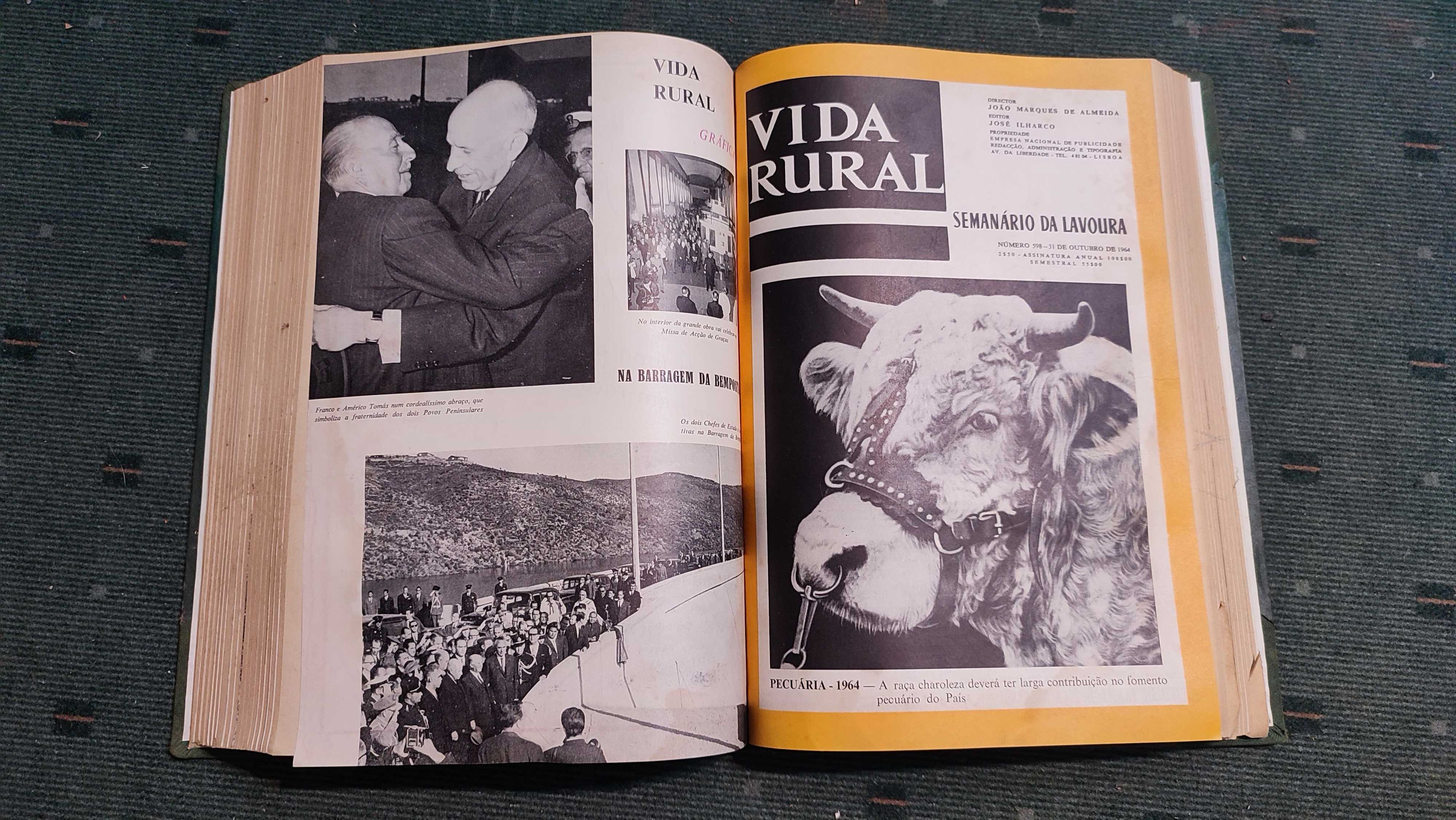 Vida Rural - 2º semestre 1964 - 25 revistas encadernadas