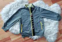 Bluza Coccodrillo rozmiar 110