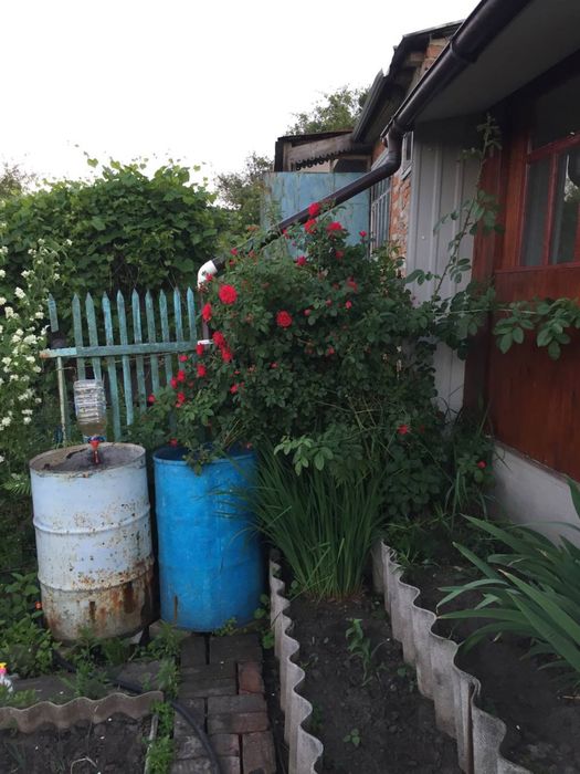 Кооператив Барвінок