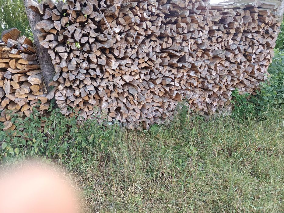 Drewno kominkowe opałowe sosna sezonowana. Sucha.