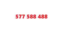 złoty numer 577.588.488
