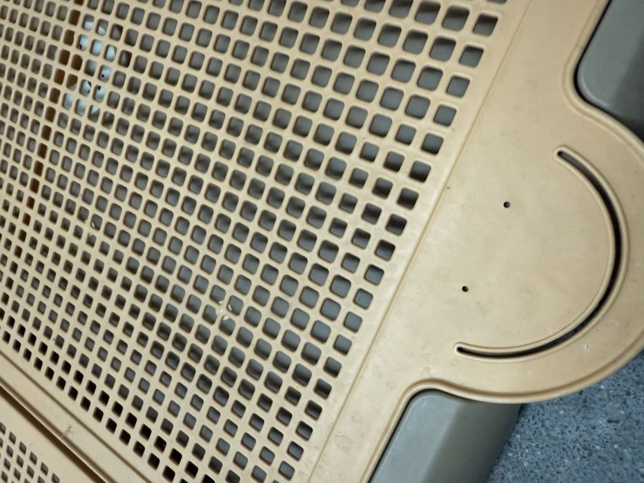 Casa de banho para cães