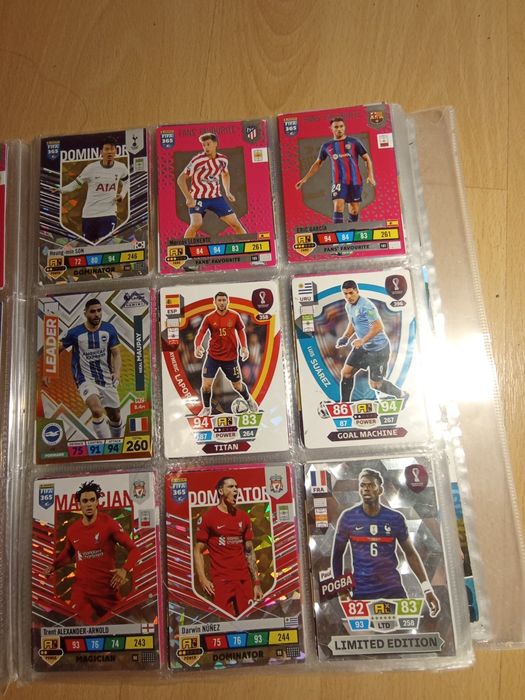 Karty piłkarskie panini