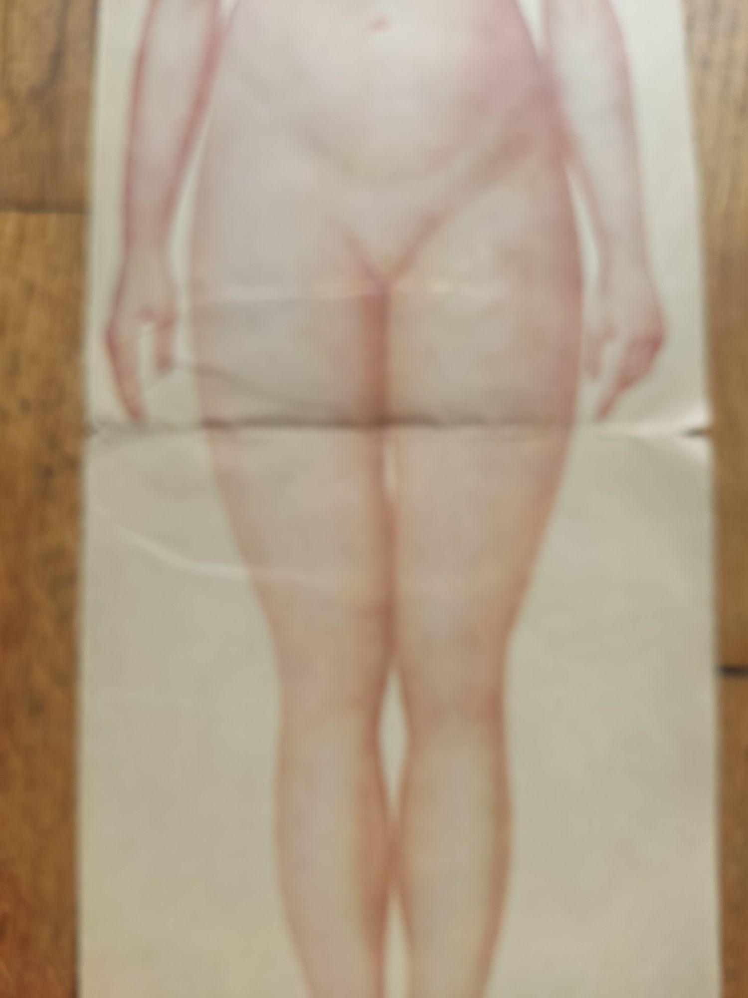 Tablice anatomiczne Kobieta