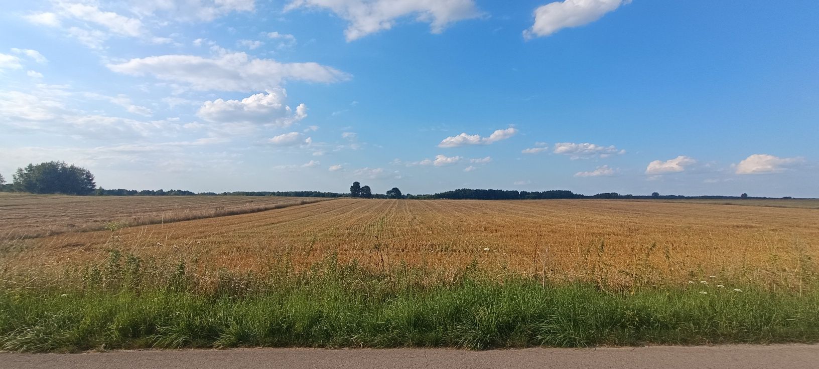 Sprzedam działki budowlane
