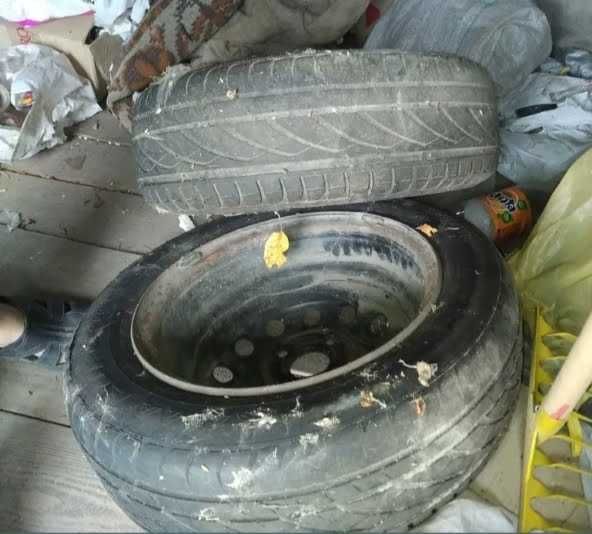 Kama Euro 175-65 R14 82H