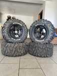 Maxxis bighorn