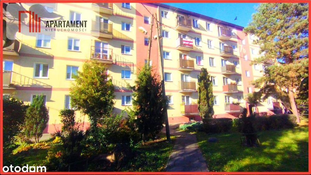 Tylko w naszym biurze 43 metry z potencjałem