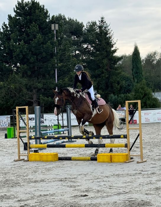 Wspóldzierzawa konia - wicher