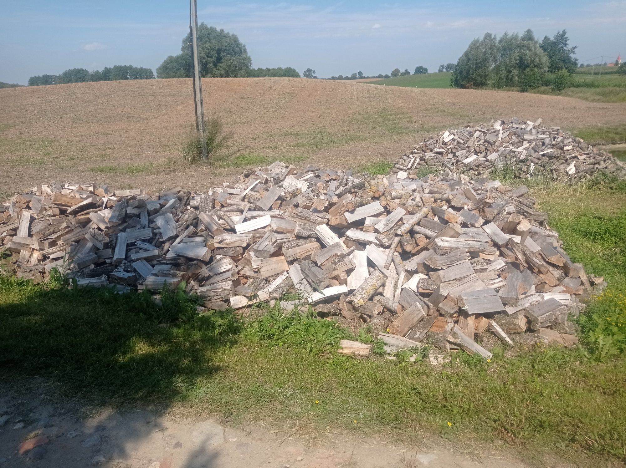 Topola połupana!!!