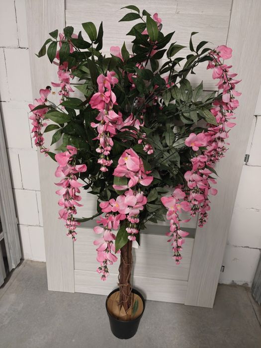 Plantasia 120cm kwiat Wisteria  nowy