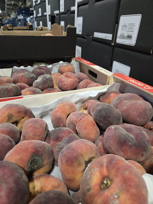 Oddam pokarm dla zwierząt