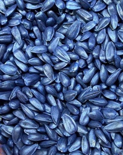 Насіння соняшника під Гранстар