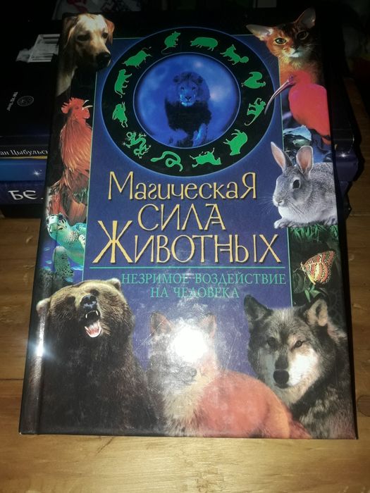 Магія 5 шт очі тварини цигани екстрасенси біле і чорне