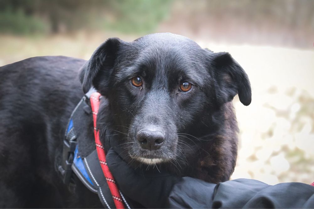 Czy moge liczyc na Twoja milosc i cieply kat? Tobi