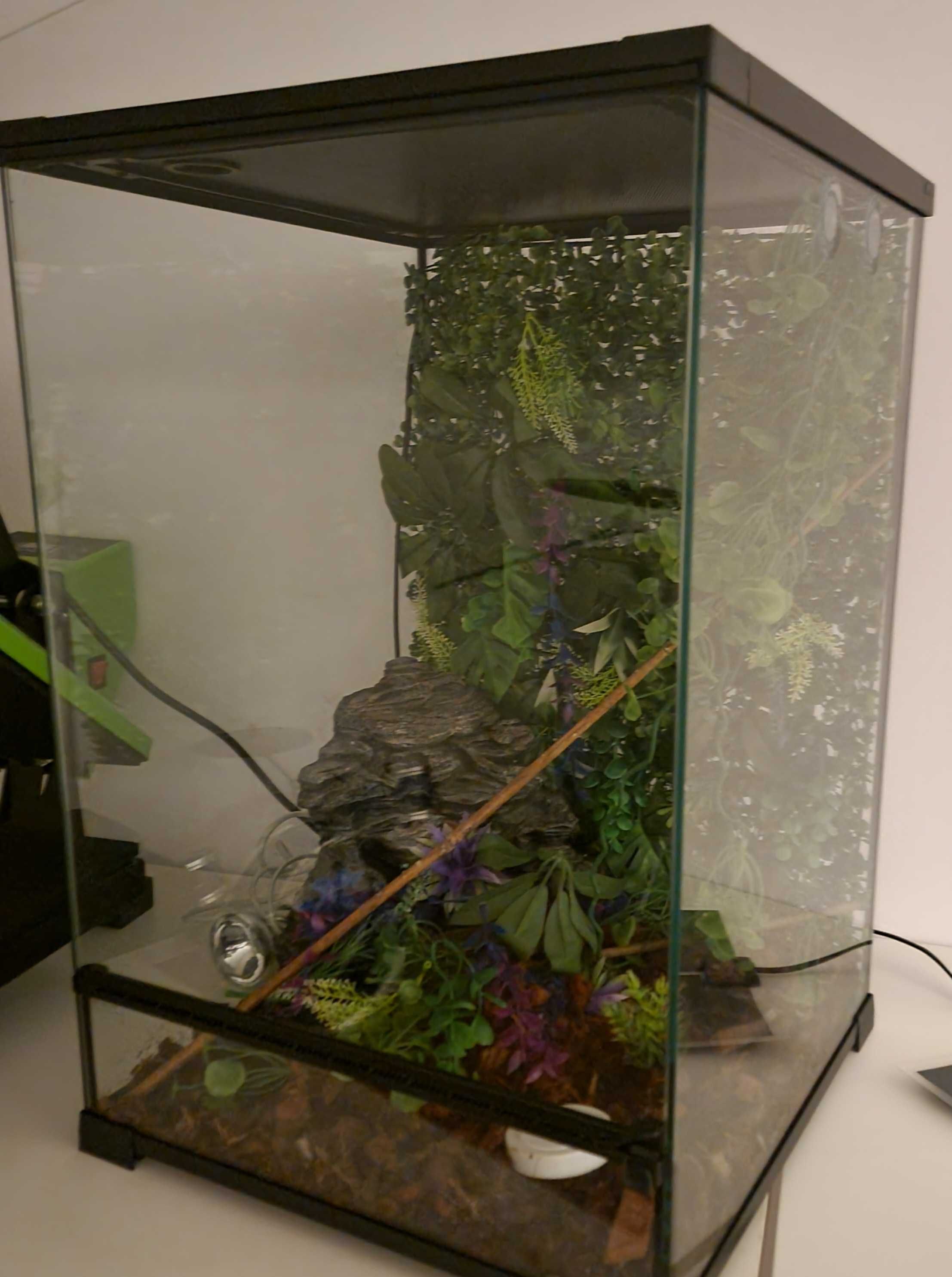 Terrário GiganTerra 60x40x40