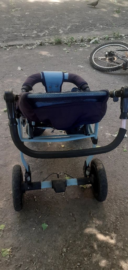 Детская коляска Adamex