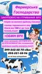Продам корову