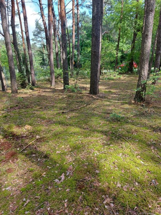 Działka budowlana, media w drodze