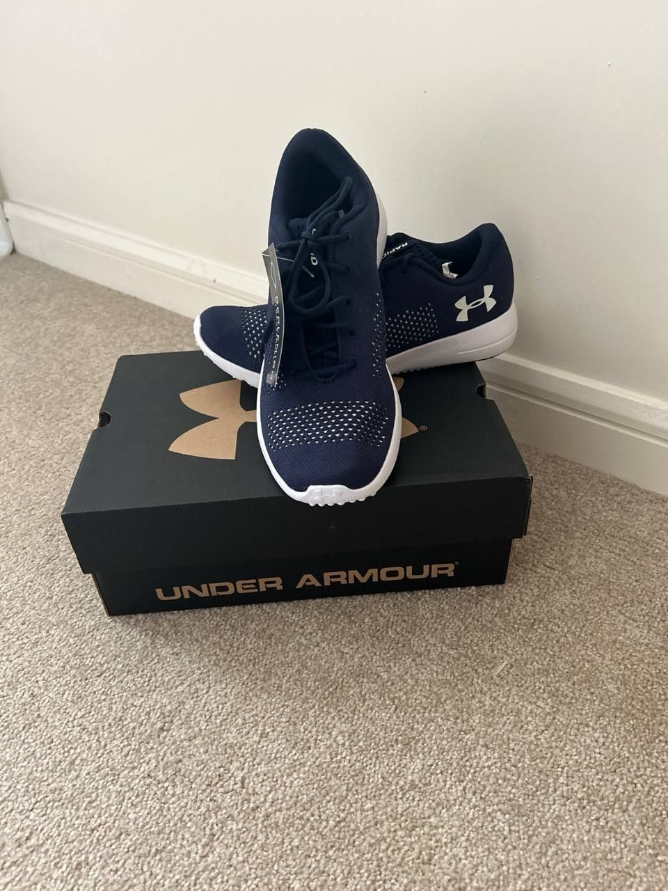 Чоловічі кросівки Under Armour