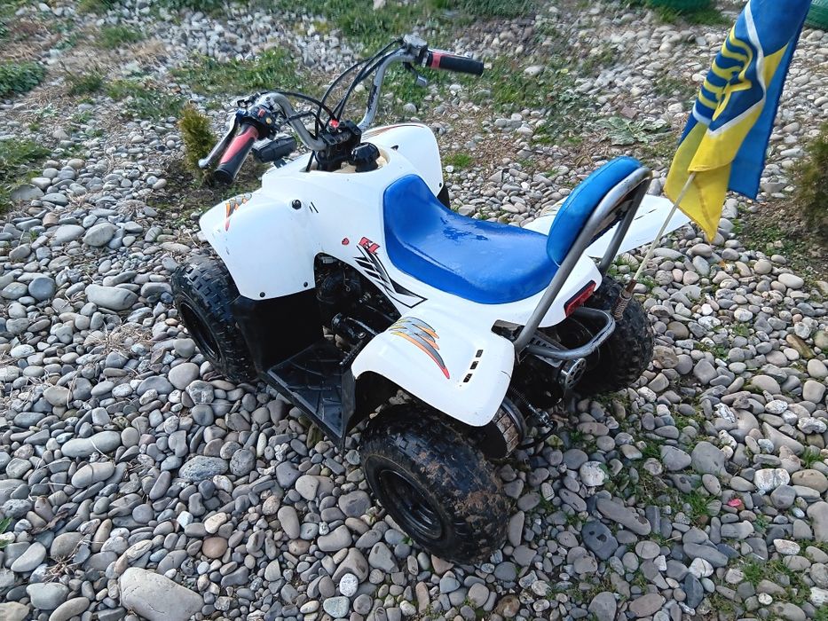 Детьський 50 кубовий квадрик