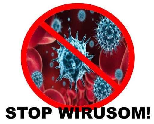 Sprzątanie mieszkań, domów , biur, Pranie sof, narożników.