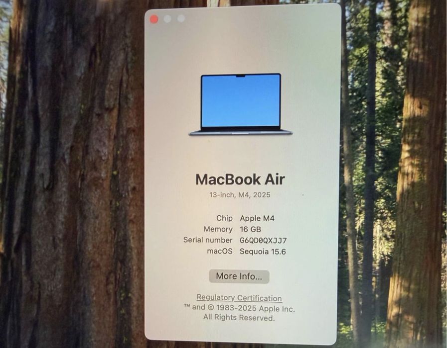 Macbook Air M4 16/256GB + Apple Magic Mouse