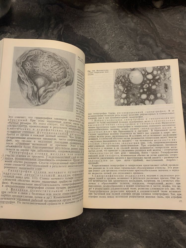 Книга  Патологическая анатомия А.И. Струков, В.В. Серов