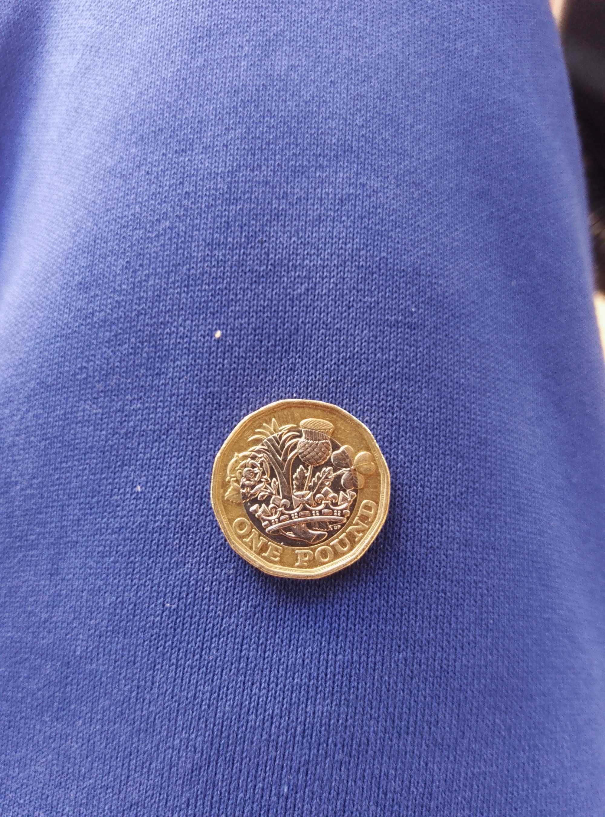 One Pound Elizabeth II 2019