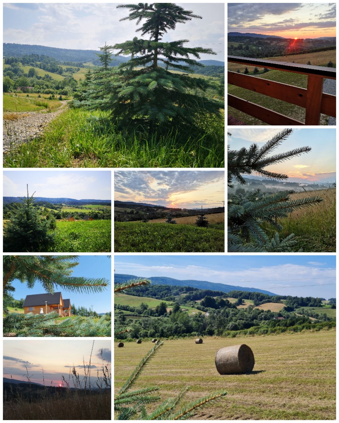 Domki Bieszczady