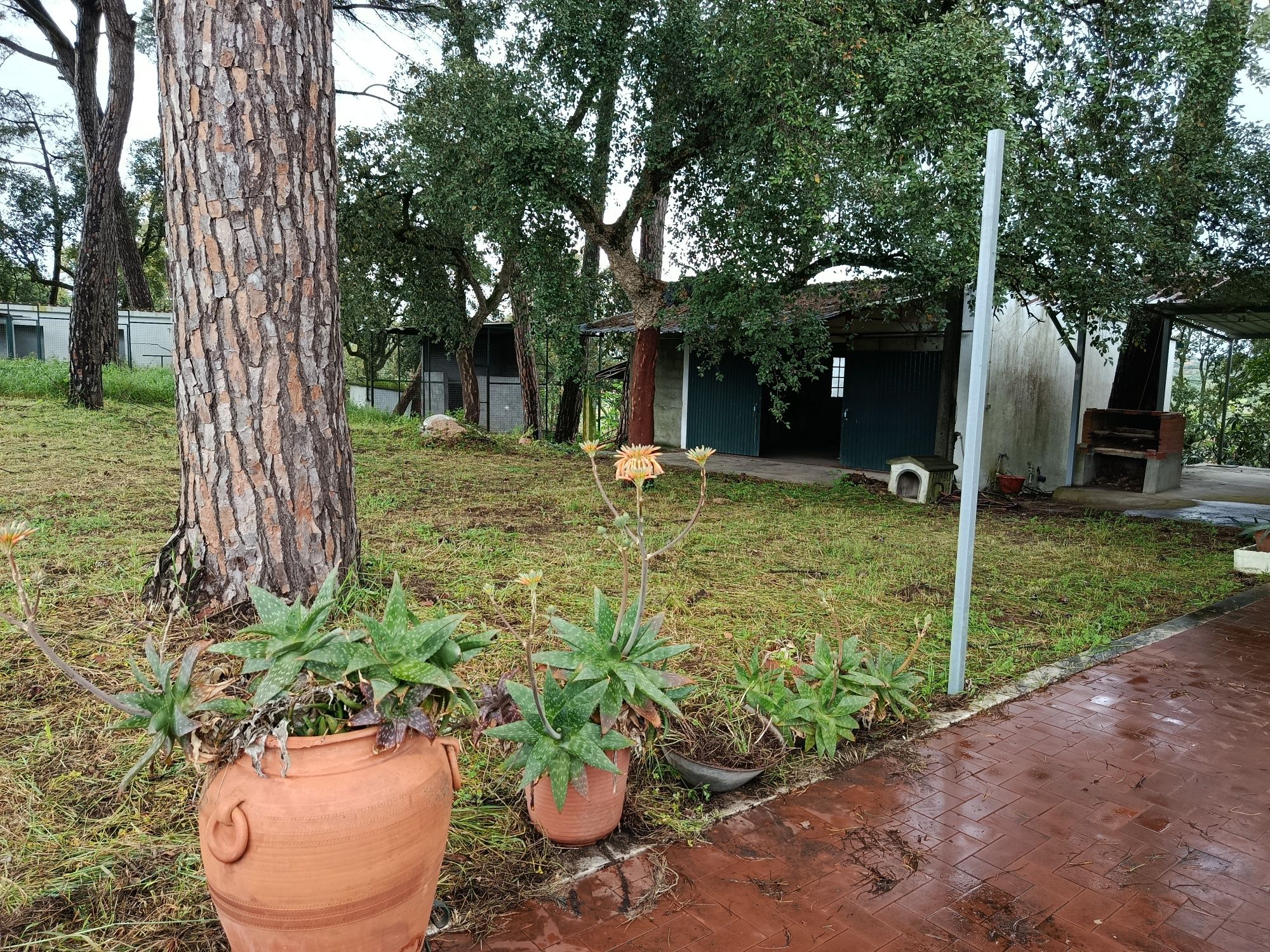 Moradia pronta a habitar com terreno e anexos