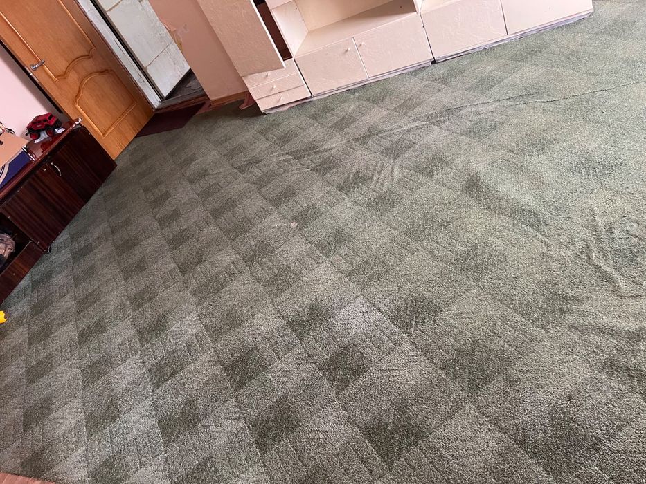 Ковролін великий