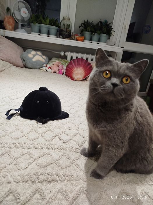 Rower damski ,koła 26