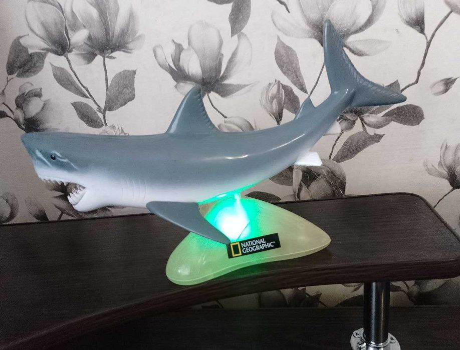 Белая акула, анатомическая (Natiomal Geographic) c подсветкой (33 см)