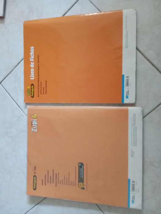 Manual e caderno de actividades Português Missão Zupi 4