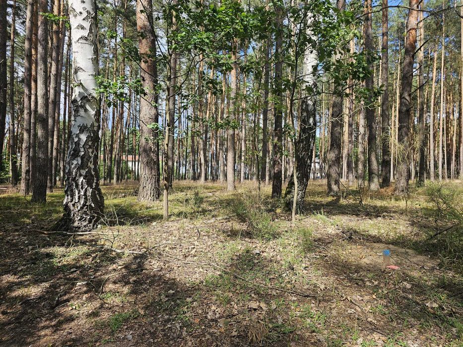 Działki nad Jeziorem Sławskim