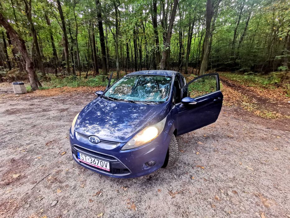 Ford Fiesta MK7 2008r. 1.25