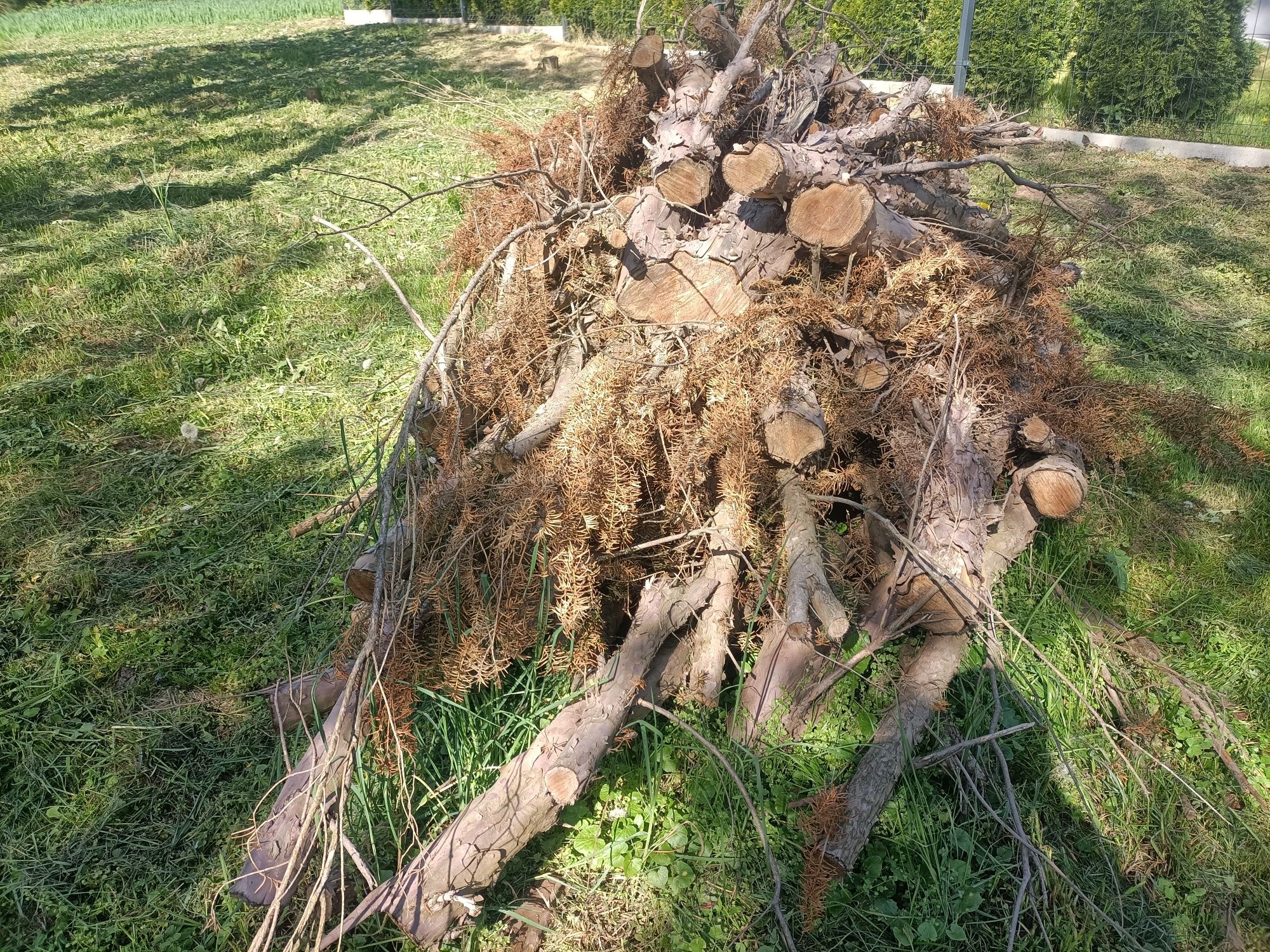 Sprzedam drewno iglaste opał