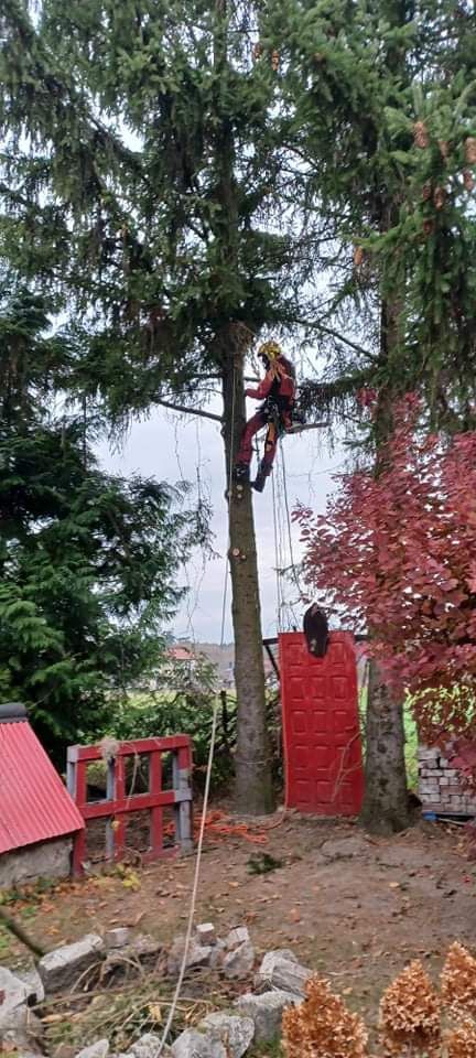 Rębak do gałęzi, karczowanie działek, wycinka drzew, mielenie gałęzi