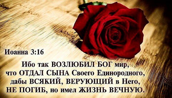 Книга книг Евангелие!