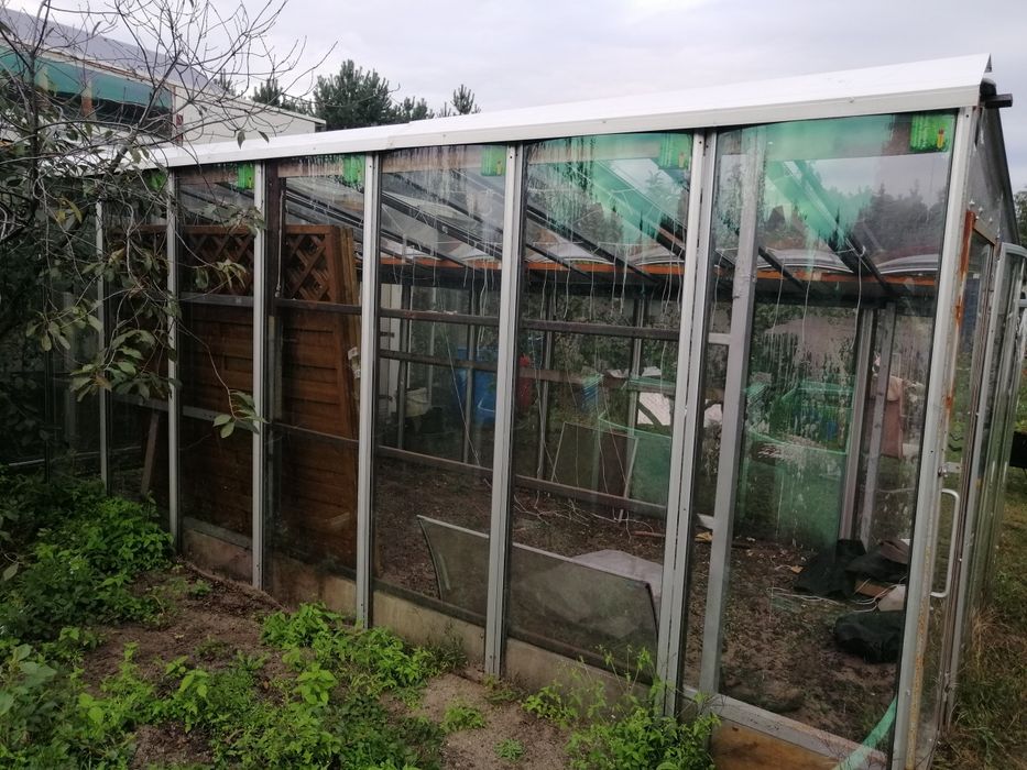 Szklarnia do uprawy pomidorów