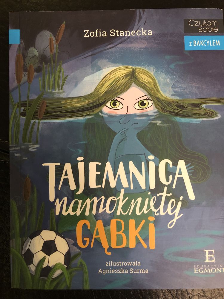 Tajemnica namokniętej gąbki Zofia Stanecka
