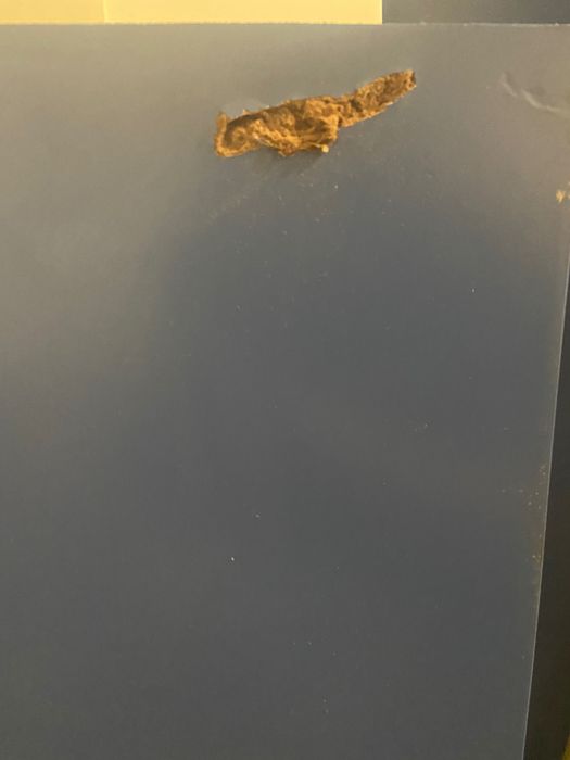 Дитяче ліжко для хлопчика або дівчинки