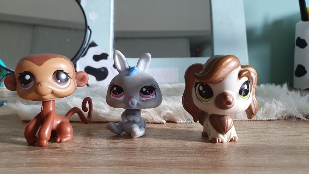 Littlest pet shop 3 szt.