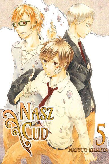 Nasz Cud 05 (Używana) manga