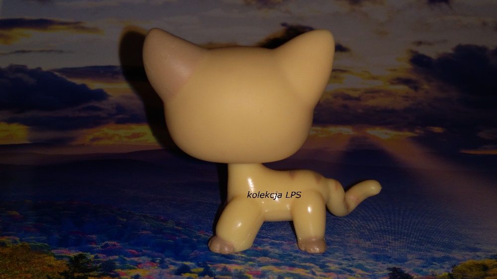 LPS Littlest Pet Shop shorthair #886 oryginalny kotek oryginał POP
