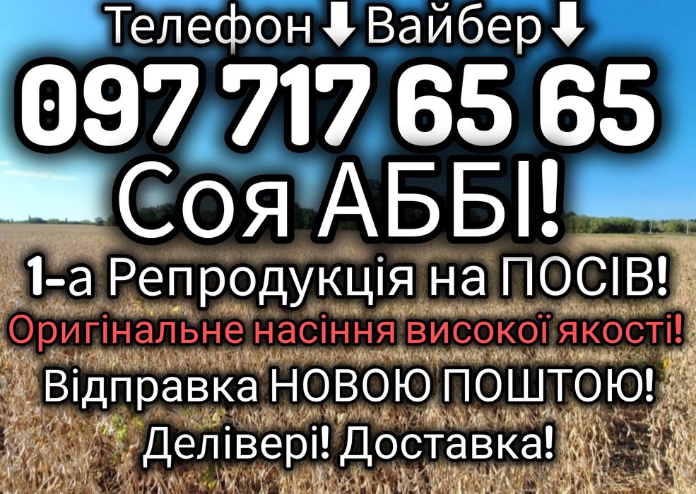 Соя АББІ 1-А РЕПРОДУКЦІЯ на ПОСІВ! Відправка НОВОЮ ПОШТОЮ! Делівері!!!