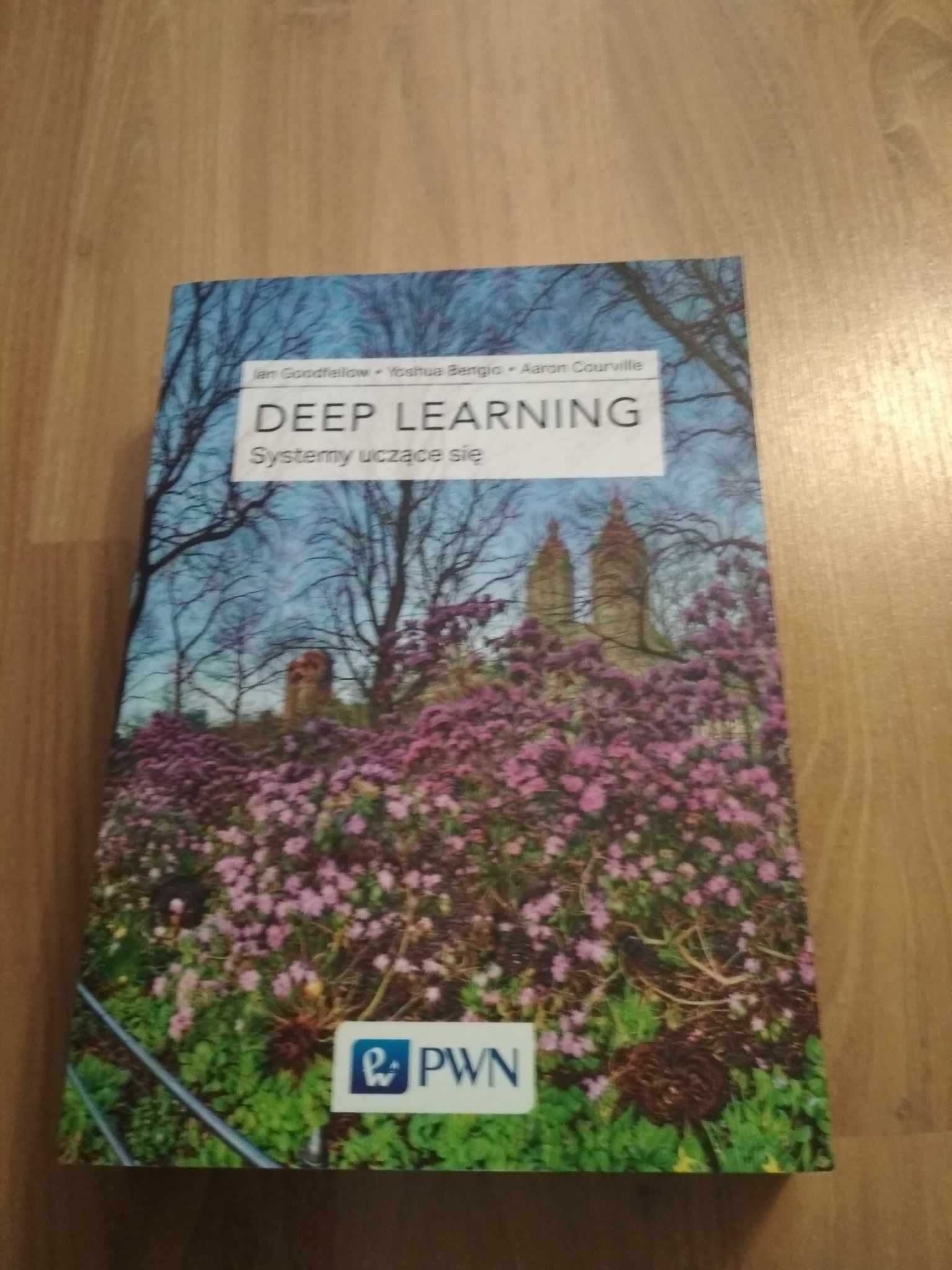 Deep Learning systemy uczące się